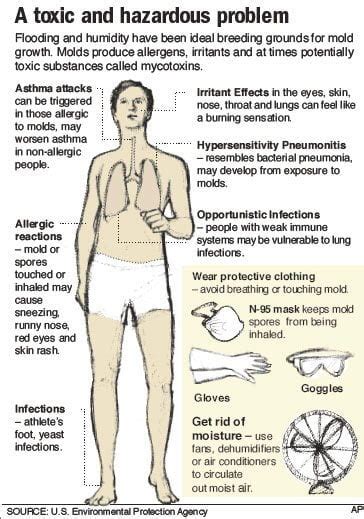 Long Term Effects of Black Mold | Black Mold Symptoms