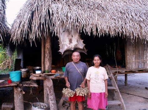 Uncontacted Amazon tribe raids neighboring village; raises fear of ...