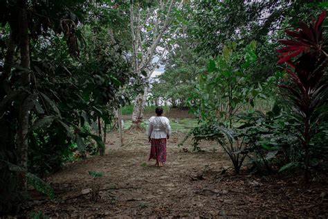 In Peru's Amazon, Indigenous Women Lead the Way on Conservation | Earth ...