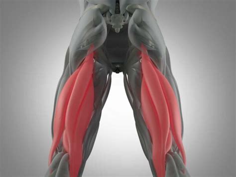 Three Symptoms of A Hamstring Strain