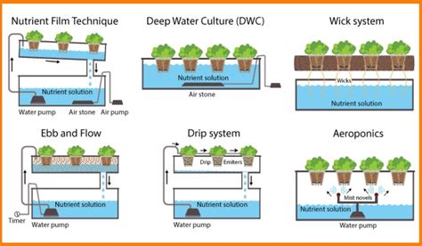 Types Of Hydroponic Systems Explained With Diagrams | Sexiz Pix