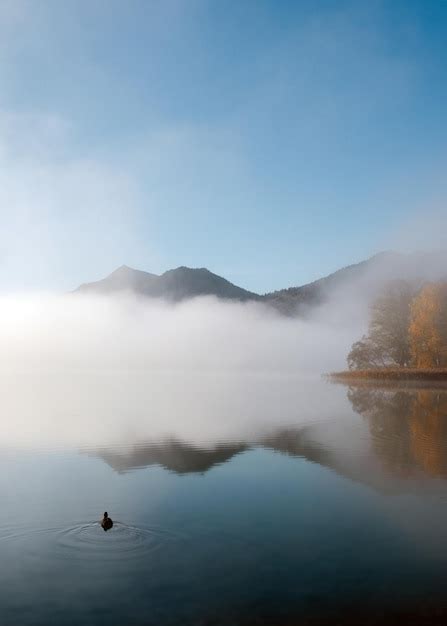 Premium Photo | View of the lake and mountains in autumn falling fog