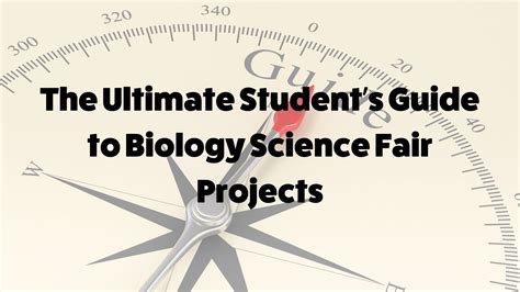 The Ultimate Student’s Guide to Biology Science Fair Projects — Inspirit AI