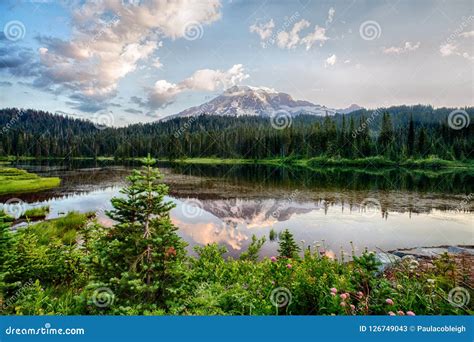 Mt Rainier and Reflection Lake at Sunrise Stock Image - Image of ...