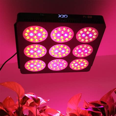 Best LED Grow Lights for succulents