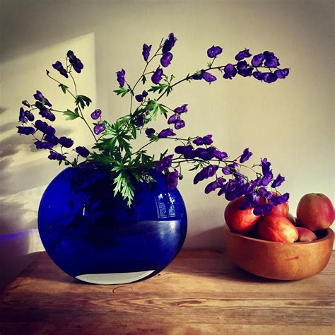 Close-Up Photography Flowers in a Vase · Free Stock Photo