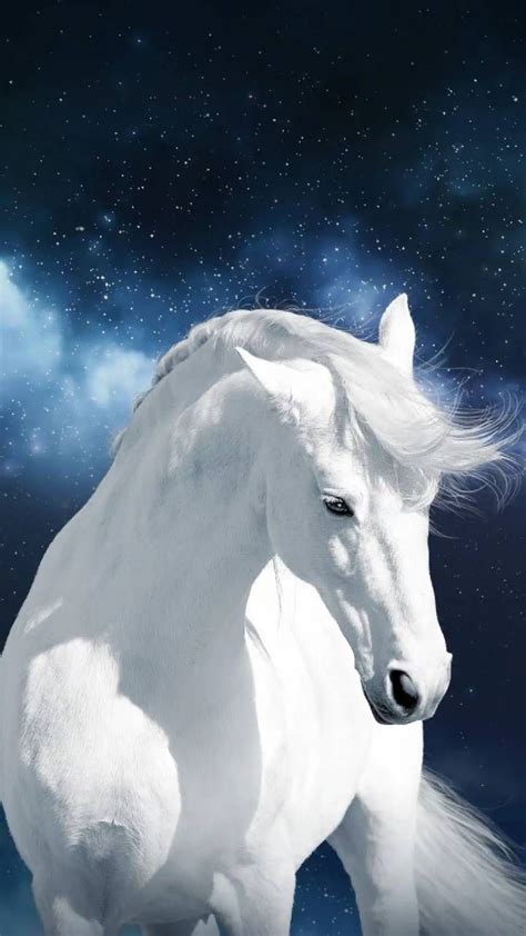 🔥 [20+] Beautiful White Horse Wallpapers | WallpaperSafari