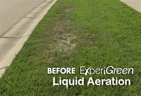 What Is Liquid Lawn Aeration - ExperiGreen