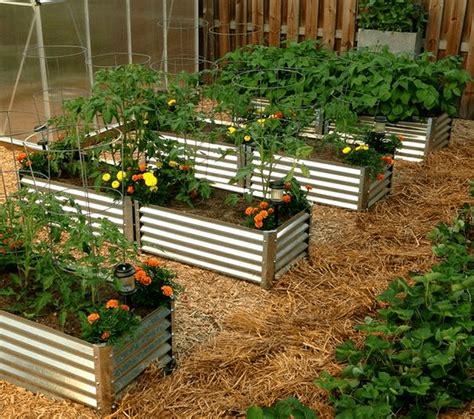 Crafting a DIY Corrugated Metal Raised Bed Garden: 5 Easy Strategies