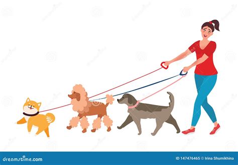 Professional Dog Walker Stock Vector Illustration Of Host 147476465