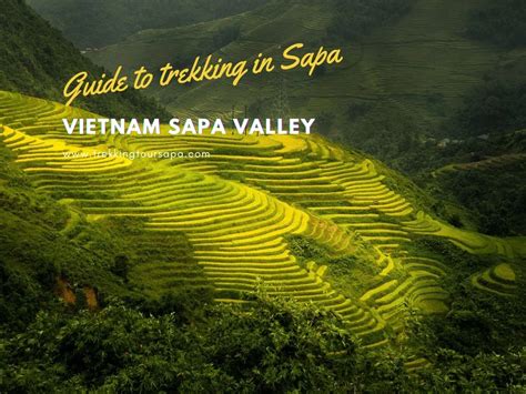 Vietnam Sapa Valley: Trekking Through The Scenic Beauty