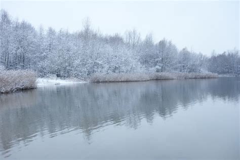 Lake Winter Snow Landscape Free Stock Photo - Public Domain Pictures