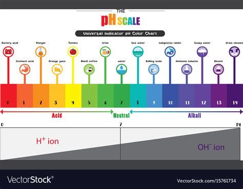 PH Scale Coloring Sheet