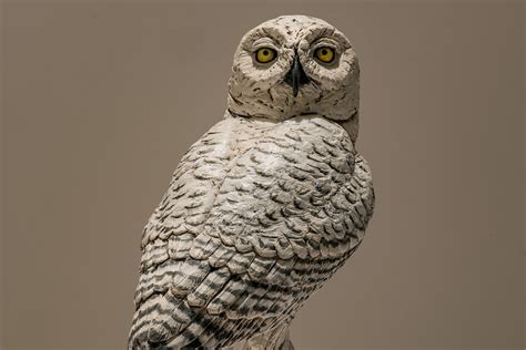 Snowy Owl Sculpture - Nick Mackman Animal Sculpture