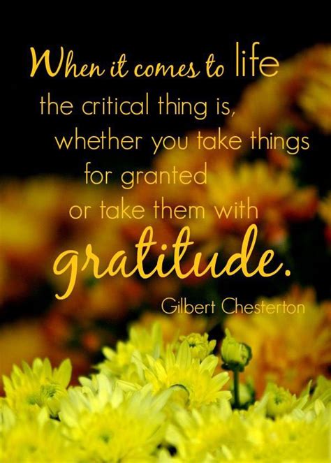 Daily Gratitude Quotes. QuotesGram