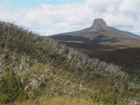 Cradle Mountain Summit Hike (12.5km) - Cradle Mountain-Lake St Clair ...