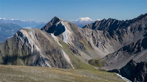 Alaska Hiking Plus – Wrangell-St. Elias | REI Adventures