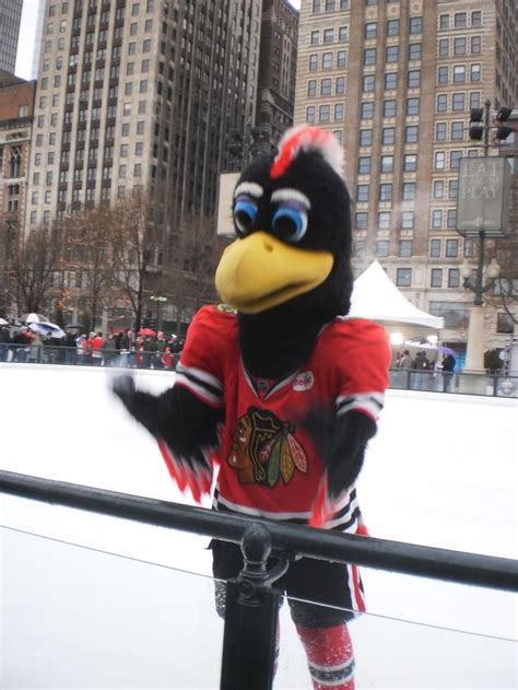 Chicago Blackhawks mascot, Tommy Hawk, at Millenium Park | Chicago ...