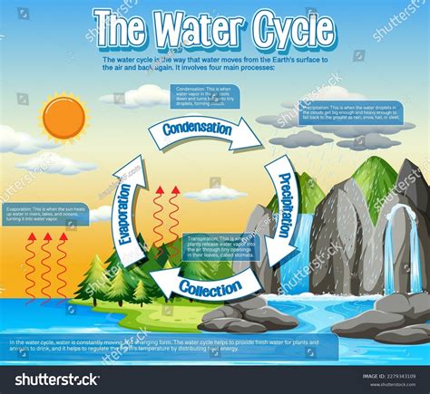 Water Cycle Diagram Science Education Illustration Stock Vector ...