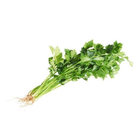 Daun Soup 120g