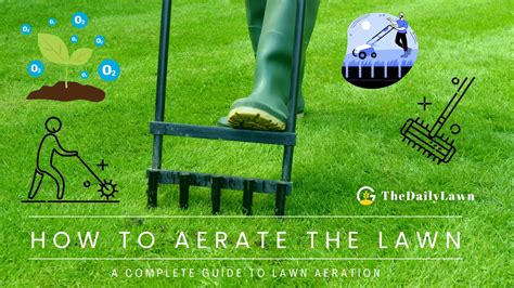 How To Aerate The Lawn? A Complete Guide To Aeration