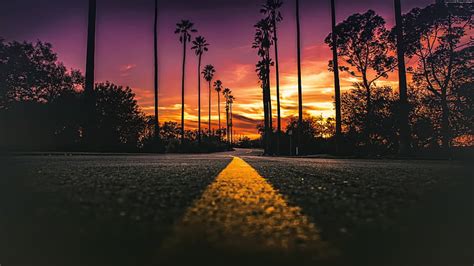 HD wallpaper: California, Los Angeles, sunset, 4K, road, palms ...