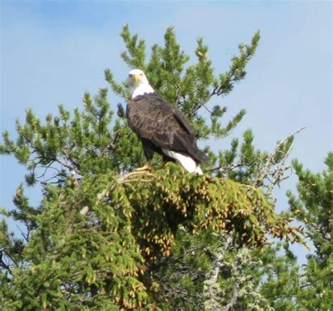 Pictures of Northern Saskatchewan