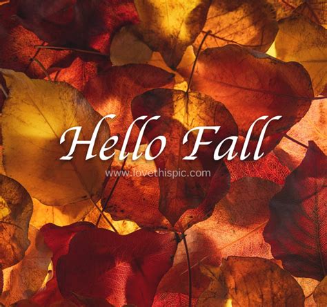 10 New Hello Fall Pictures & Quotes