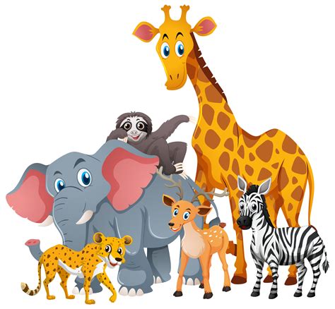 Trio Animals Clipart In 2022 Animal Clipart Clip Art Cute Clipart ...