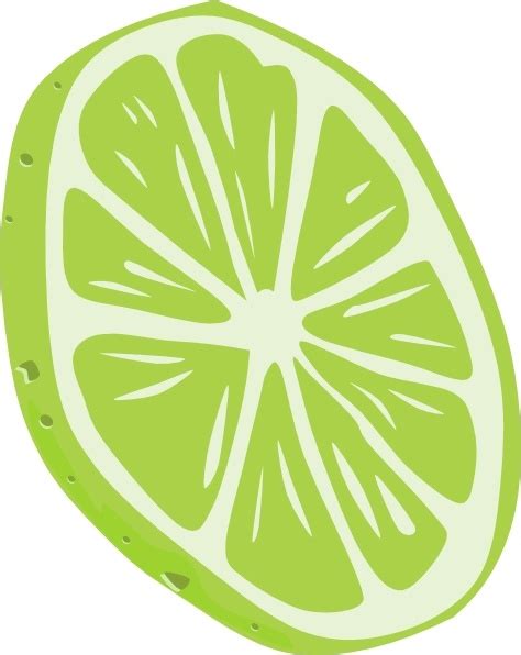 Lime (slice) clip art Free vector in Open office drawing svg ( .svg ...