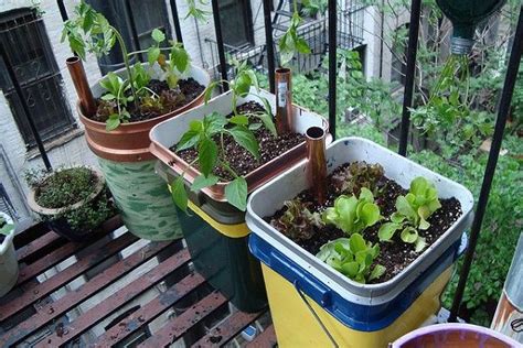 14 Best DIY Self-Watering Container Garden Ideas | Balcony Garden Web