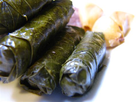 Vegetarian Stuffed Grape Leaves - Syrian Cooking