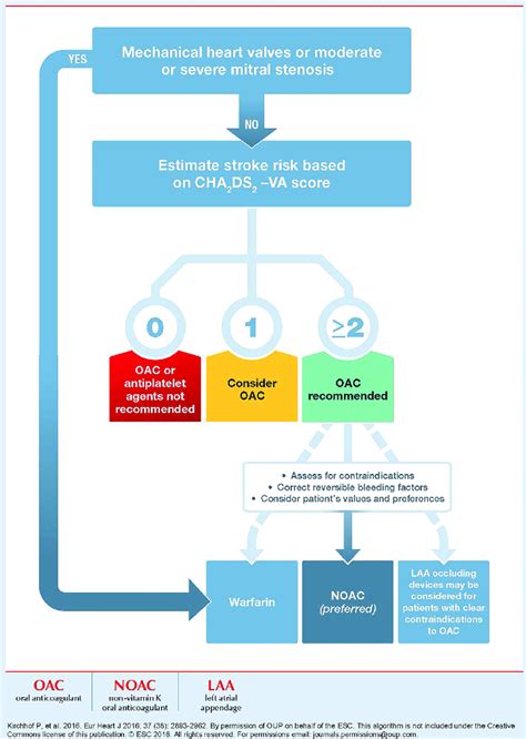 Stroke prevention in atrial fibrillation. | Download Scientific Diagram