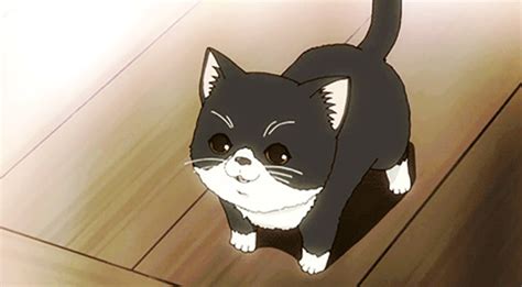 25 Iconic Cats In Anime: The Ultimate Feline List – FandomSpot