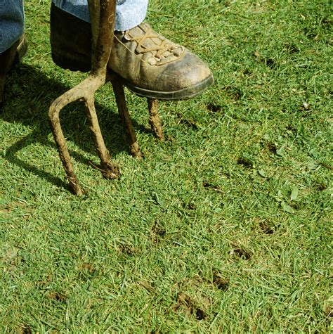 What It Is Lawn Aeration? Why, When and How It's Done