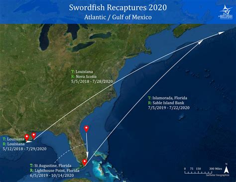 2020 Conservation Record: Swordfish