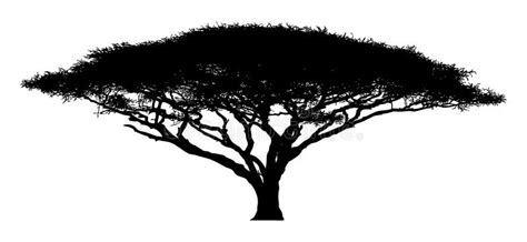 Silhouette Of The Tree-acacia Stock Image - Image: 36921139