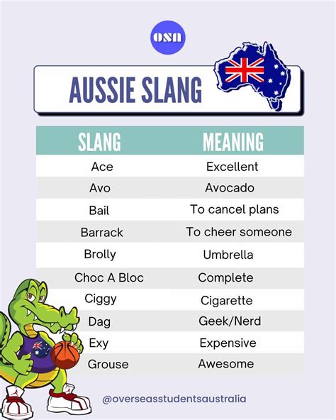 Australian Slang: A Guide to the Local Language