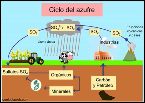 Ciclo Biogeoquimico Del Azufre