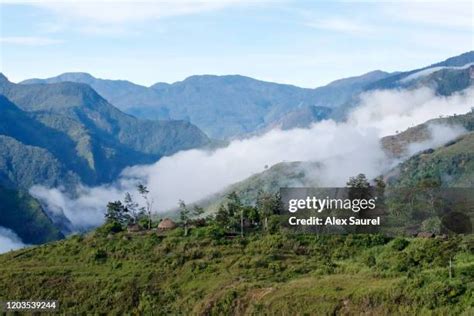 West Papua Culture Photos and Premium High Res Pictures - Getty Images