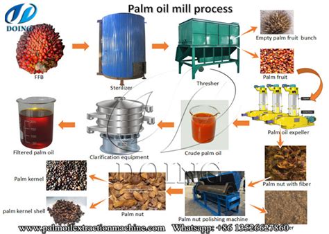 Palm oil extraction process_FAQ