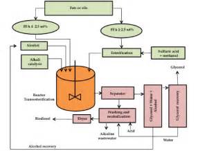 Process diagram of biodiesel production (Source: Ortega et al. (2013 ...