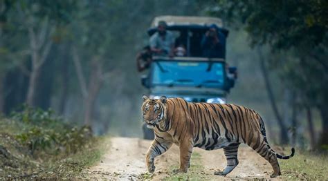 Resorts in Kabini - Kabini resorts | Jungle Lodges