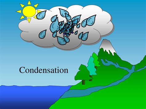 Draw A Labeled Diagram Of The Process Of Condensation The Bi