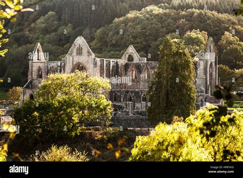 The ruins of Tintern Abbey in Monmouthshire, Wales Stock Photo - Alamy