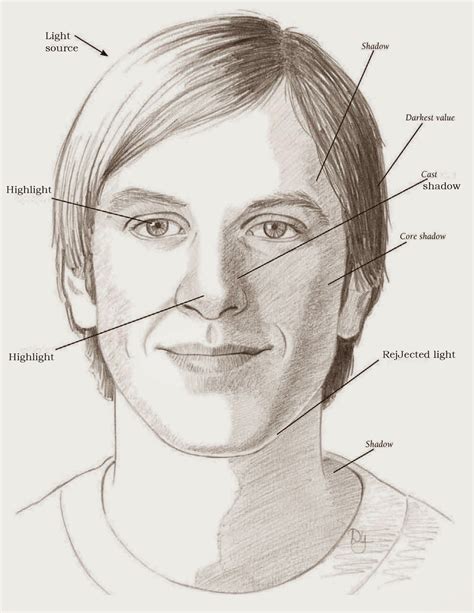 LEARNING THE PLANES OF THE FACE Once you understand the basic structure ...