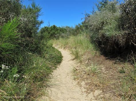 Hiking in the Oregon Dunes - EVERYONE'S TRAVEL CLUB