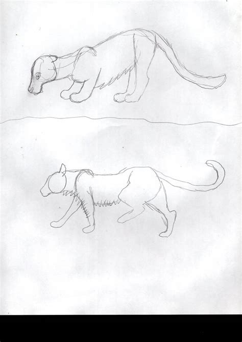 Animal Gesture Drawing 5 by Moongaze14 on DeviantArt