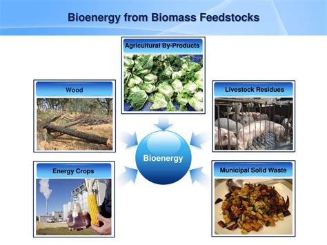 PPT - Bioenergy Production of Agricultural By-Products PowerPoint ...