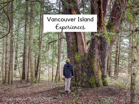 Incredible Vancouver Island Attractions and Experiences